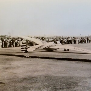 May include: A black and white glider airplane with a striped tail and the registration number N1333 on the wing. The airplane is on a runway with a crowd of people in the background.