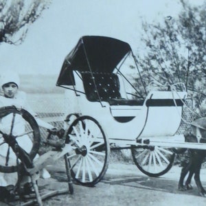 Vintage 1910's Little Girl And Dogs Pulling Cart RPPC Real Photo Postcard