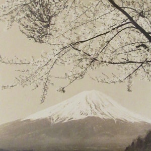 May include: A black and white photograph of Mount Fuji, a snow-capped mountain, with a tree branch full of white blossoms in the foreground.