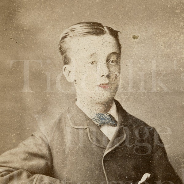 CDV Photo Victorian Young Boy, Lightly Hand Tinted, Seated Portrait ~ David Rees of London ~ 1870s Antique Carte de Visite Photograph