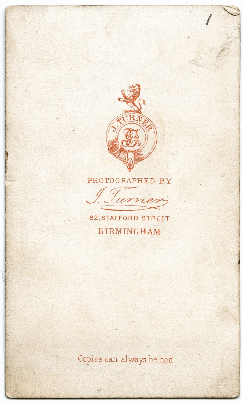 Standing Portrait ~ CDV Photo ~ J Turner of Birmingham ~ 1860s Antique Carte de Visite Photograph Victorian Young Woman Pale Hooped Dress