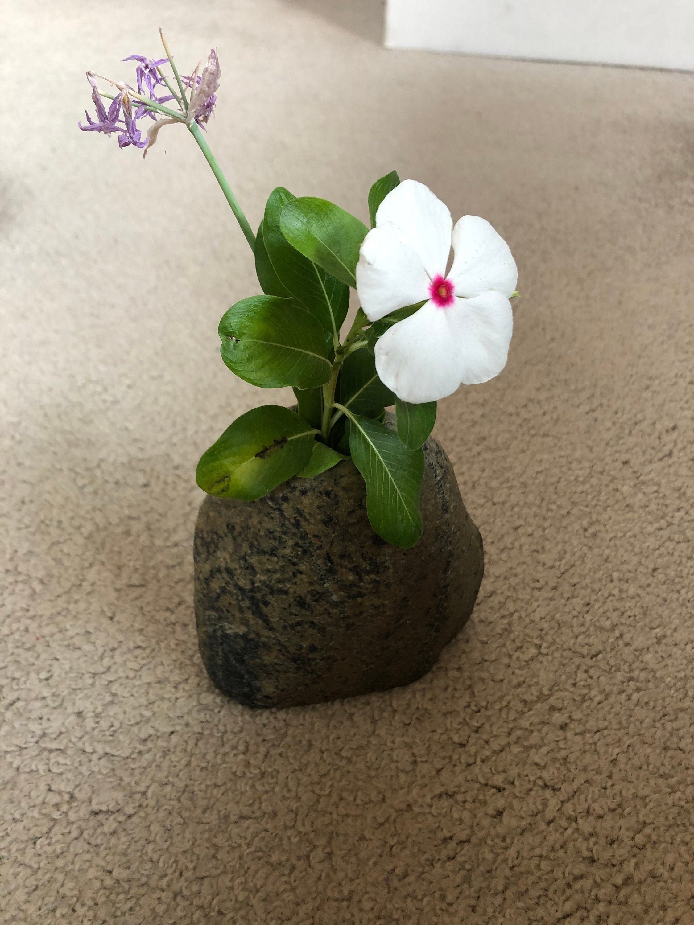 Rock Vase Rustic Vase Nature Décor Stone Vase Hole Drilled Etsy