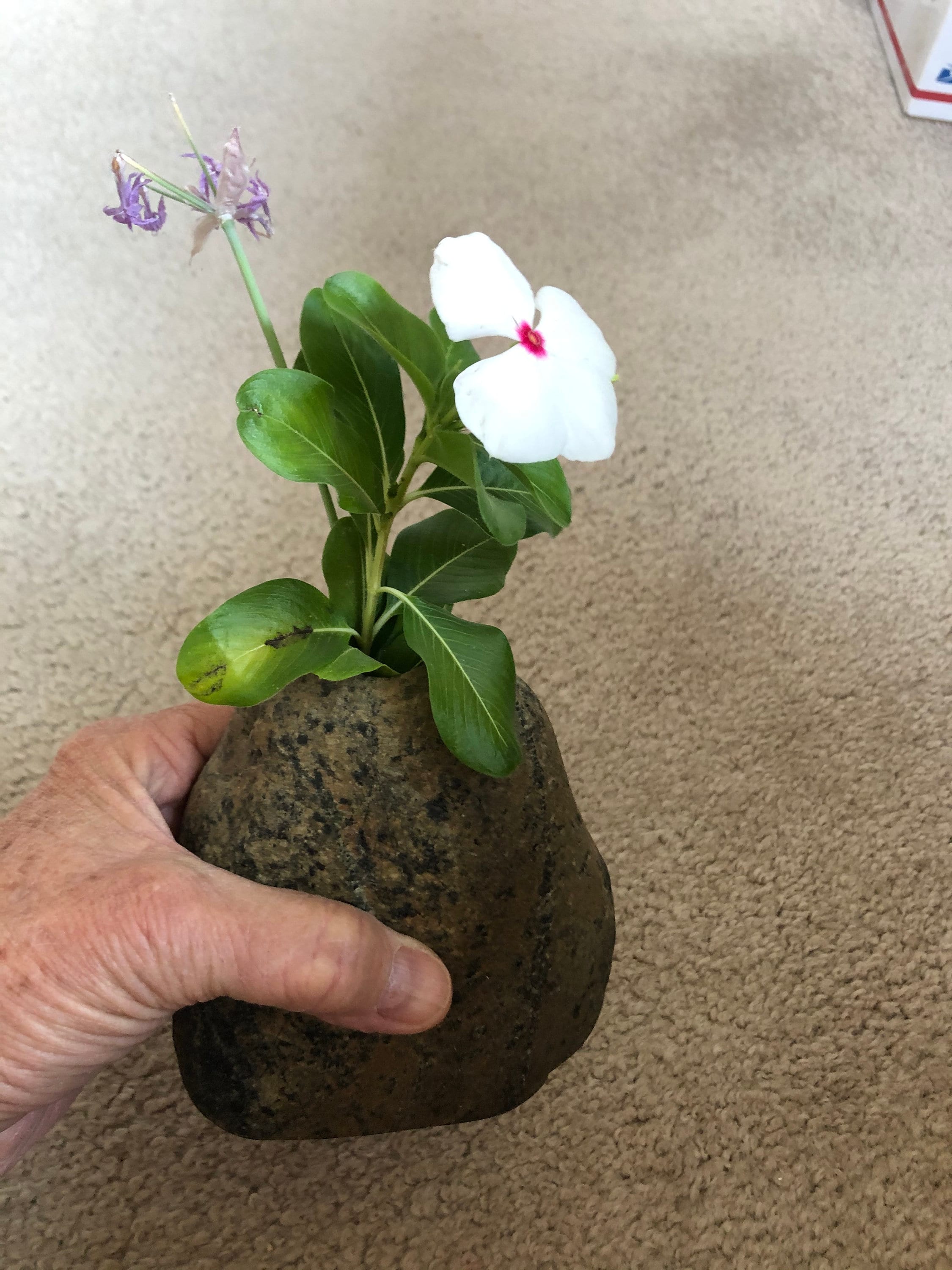 Rock Vase Rustic Vase Nature Décor Stone Vase Hole Drilled Etsy