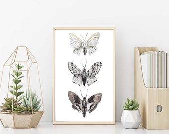 Cheap Home Decor, Butterfly Print, Printable Wall Art,Black and White wall Art Affordable Wall Art, Instant Download