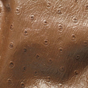 May include: Close-up of brown ostrich leather. The leather has a textured surface with small, raised bumps and a natural grain pattern. The color is a rich, warm brown with variations in tone.