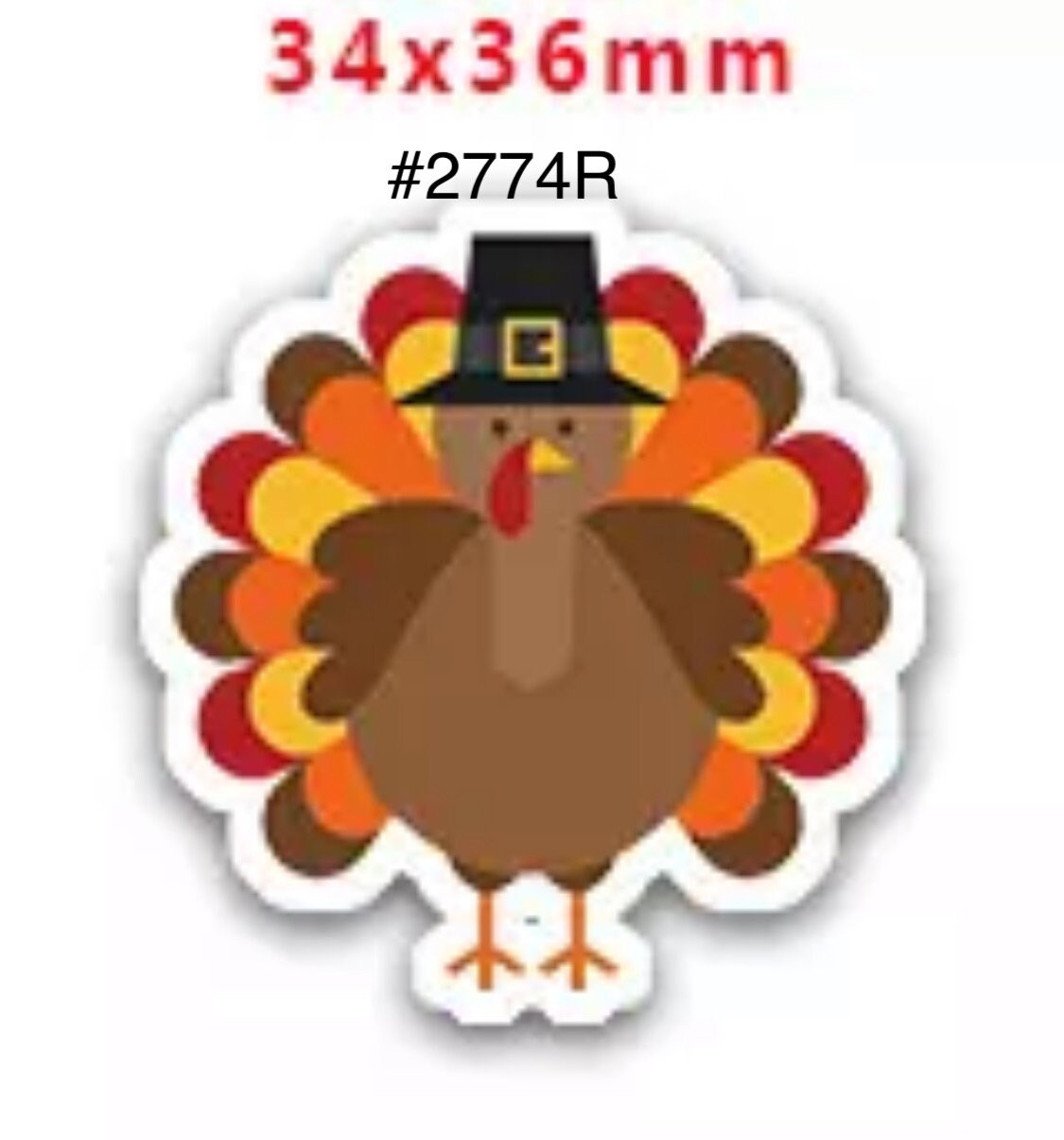 Thanks Giving Terkey Colored Hat