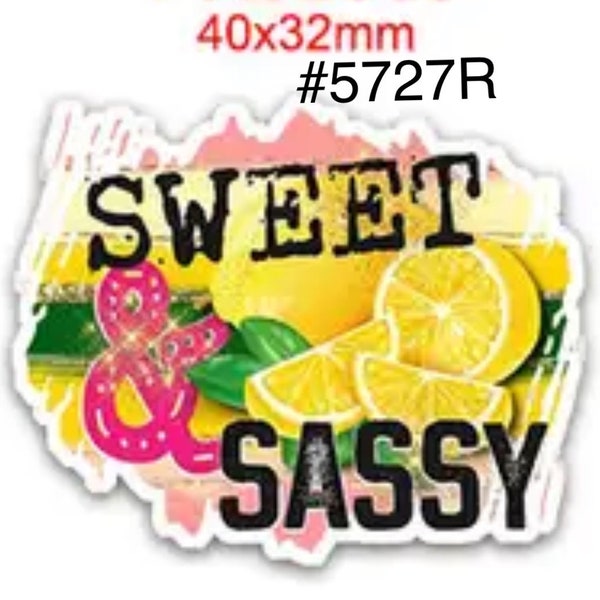 3 or 5 pc Food Fruit Cute Lemon Slice " Sweet and Sassy " Planar Resin Flat back Craft Supply