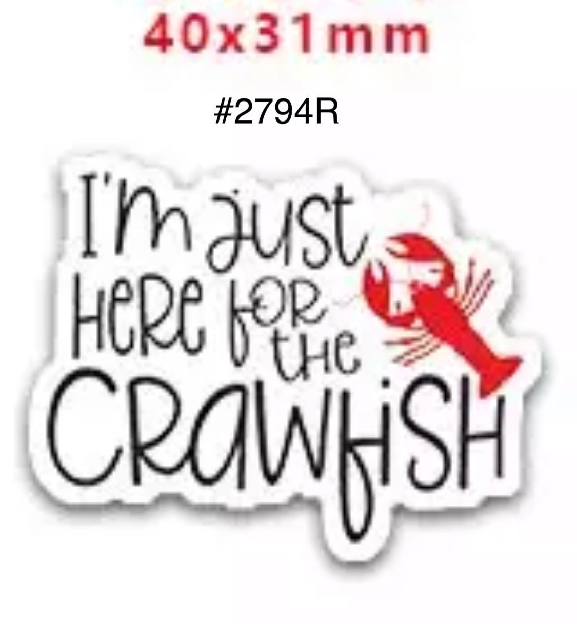 Crawfish Planar Resin NOT for Crocs Cajun Resin Flatback Set of 5 Crawfish Planar Resin NOT for Crocs Cajun Resin Flatback Set of 5