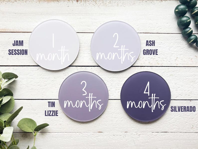 Acrylic Monthly Milestones Markers Baby Shower Gift Baby Photo Prop ...
