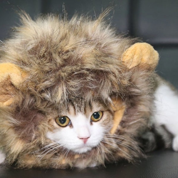 Cat Lion Mane, tan and beige cat lion hat, cat costume, cute cat headwear, cat wig, warm cat hat, cat gifts, fur cat hat, fluffy cat wig