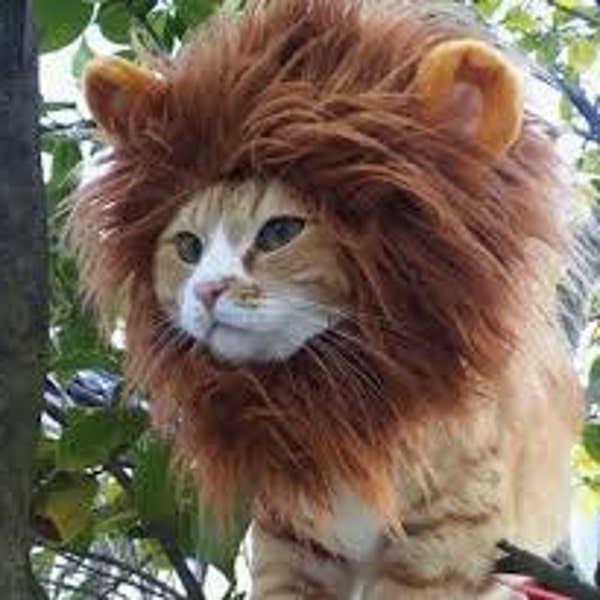 cat costume lion mane hat, cat hats, pet costume, lion mane hat for cat, cat lady, i love cats, hat for my cat, kitty hat, gift for cat, cat
