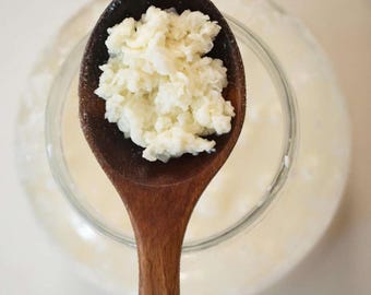 Organic milk kefir grains- 2 Tablespoons shipped fresh