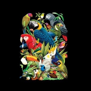 Tropical Bird T Shirt, Parrot Exotic Bird Avian World , Sweatshirt, Hoodie Available On Request 210c image 1