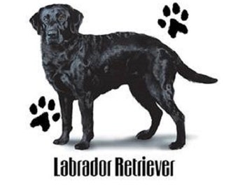 Black Lab T Shirt, Labrador Retriever Dog, (Sweatshirt,  Hoodie Available On Request)  #875m