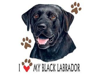 Camiseta Black Lab, Eu Amo Meu Labrador Preto (Moletom e Blusa de Moletom com Capuz Disponíveis Sob Encomenda #875)