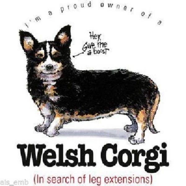 Welsh Corgi T Shirt, Dog Humor, (Sweatshirt,  Hoodie Available On Request) #832b