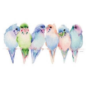 Budgies Parakeet Bird T Shirt, With Glitter,Sweatshirt, Hoodie Available On Request 212 image 1