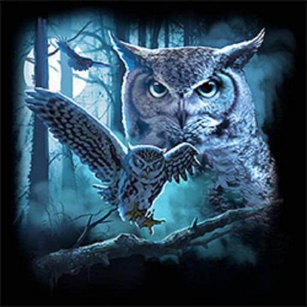 Owl T Shirt, Moonlit Night, (Sweatshirt,  Hoodie Available On Request)  # 218c