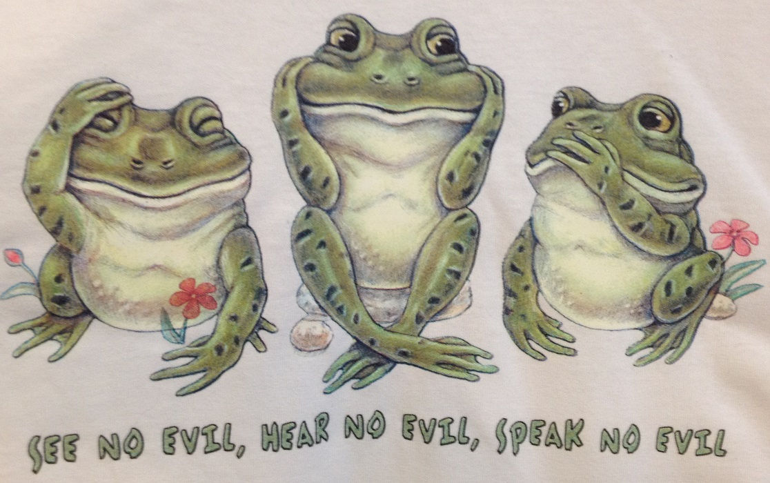 See Hear Speak No Evil Frogs Adult 3XL XXXL | Etsy