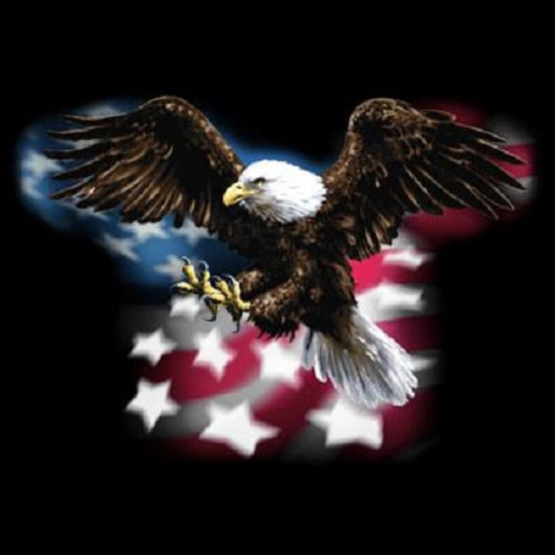 Eagle USA Flag Shirt Patriotic American Eagle US Flag - Etsy