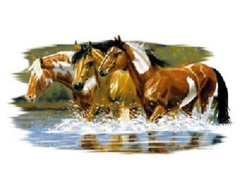 Paint Horse T Shirt, Upstream Paints (Sweatshirt,  Hoodie Available On Request) #246c