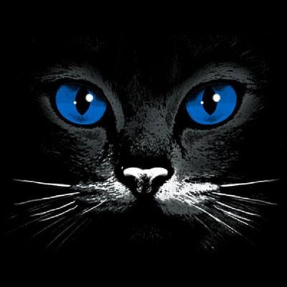 Cat Face Shirt, Blue Eye Black Cat T Shirt,sweatshirt, Hoodie Available on  Request 275e 