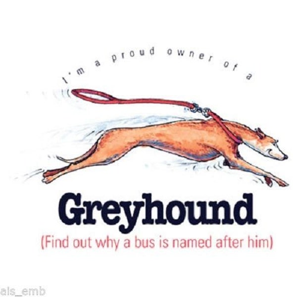 Greyhound Dog Funny T Shirt,(Sweatshirt,  Hoodie Available On Request) #852d