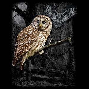 Peut inclure: Un hibou brun et blanc perch&eacute; sur une branche dans un d&eacute;cor de for&ecirc;t sombre. Le hibou a les yeux jaunes et regarde vers la droite. L'arri&egrave;re-plan est une for&ecirc;t sombre avec une pleine lune au loin.
