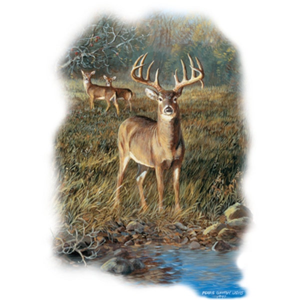 Deer T Shirt, Buck & Doe, (Sweatshirt,  Hoodie Available On Request) #234k