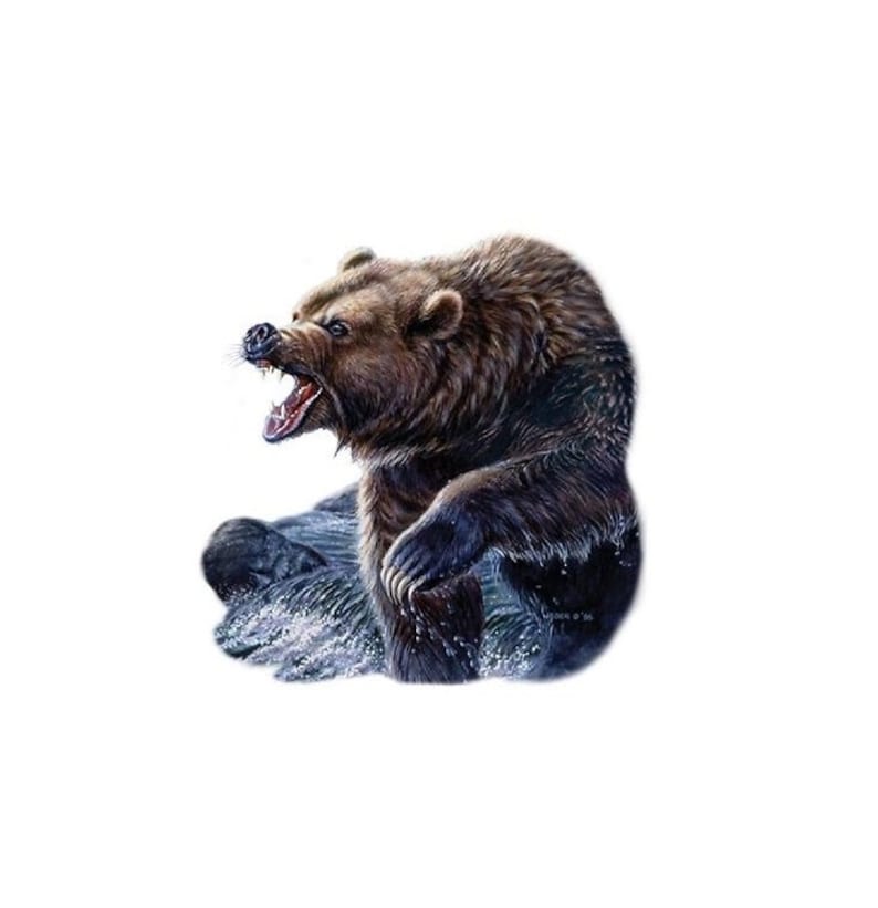 Bear T Shirt Ferocious Grizzly Bear Sweatshirt  Hoodie image 1