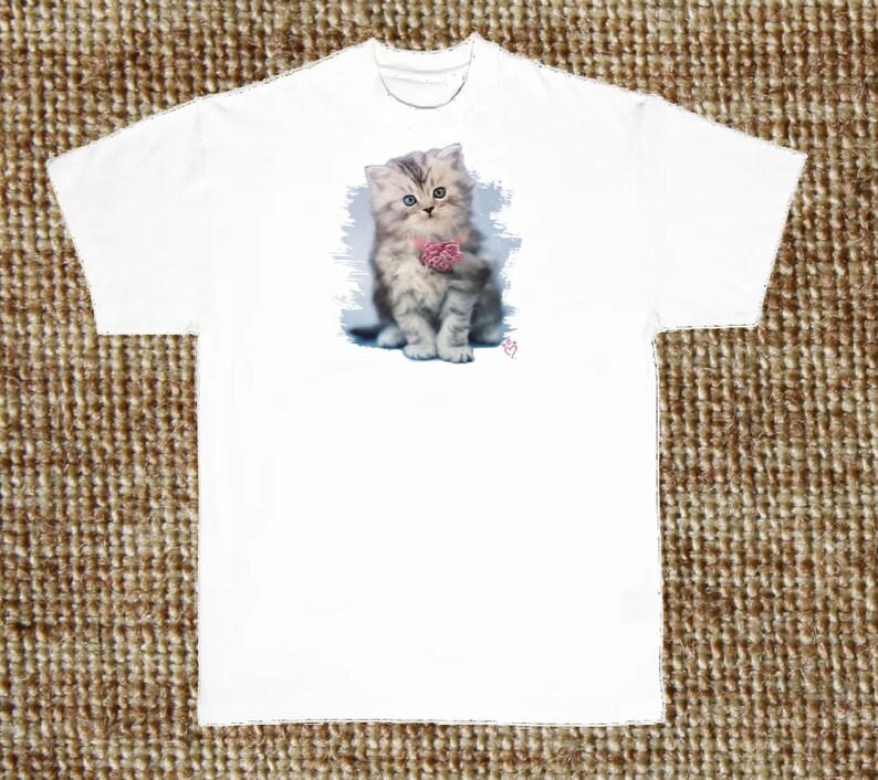 May include: A white t-shirt with a cute, gray and white kitten wearing a pink bow. The kitten is sitting on a blue and white background.