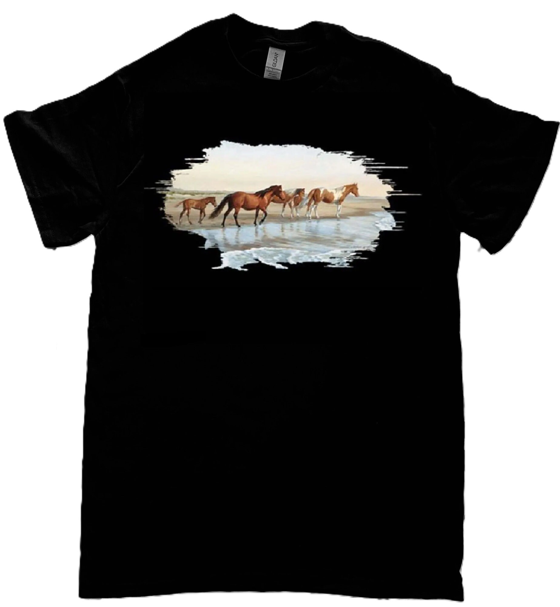 Appaloosa Horse Shirt, Level Of Crazy Horse T-Shirt Appaloosa Horse Shirt, Level Of Crazy Horse T-Shirt