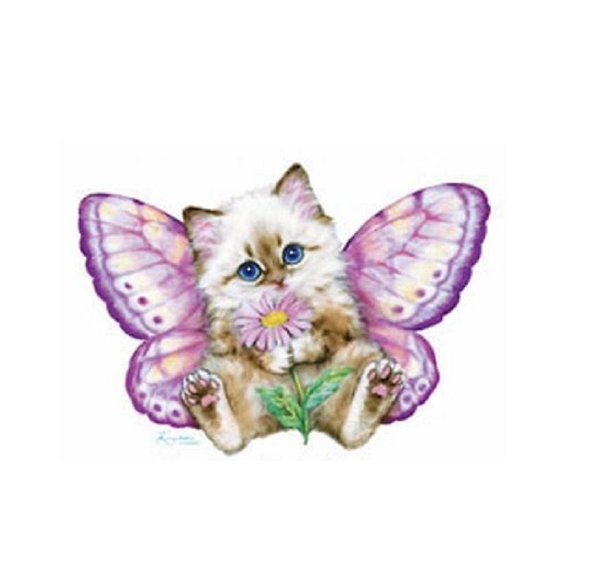kitten butterfly