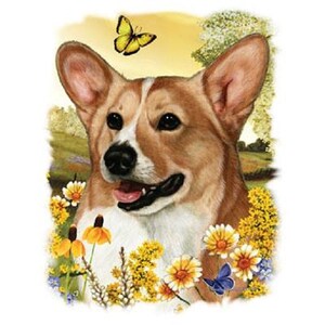 K&ouml;nnte beinhalten: Nahaufnahme eines Pembroke Welsh Corgi Hundes mit braunem und wei&szlig;em Fell. Der Hund ist von gelben und wei&szlig;en Blumen und einem Schmetterling umgeben.