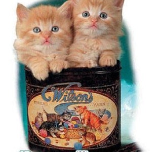 May include: Two orange tabby kittens are sitting in a vintage tin can with the words "Wilson's Thread Yarn" printed on the side. The can is sitting on a blue surface. The text "Double Trouble" is printed below the can.