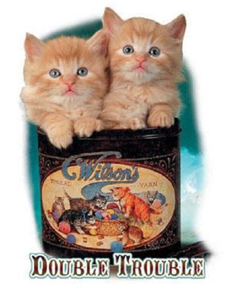 May include: Two orange tabby kittens are sitting in a vintage tin can with the words "Wilson's Thread Yarn" printed on the side. The can is sitting on a blue surface. The text "Double Trouble" is printed below the can.