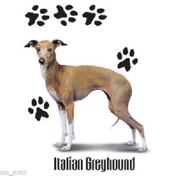 Italian Greyhound Dog T Shirt, (Sweatshirt,  Hoodie Available On Request) 852b