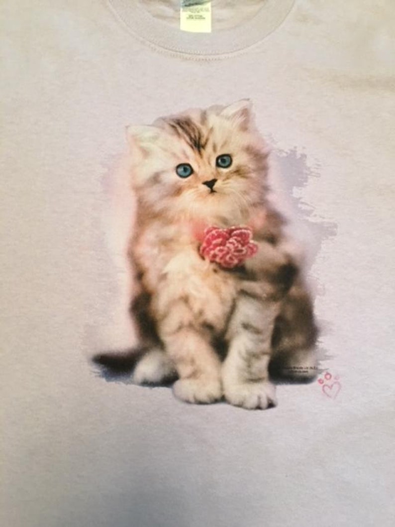 May include: A white and gray kitten with blue eyes is sitting on a light purple background. The kitten is holding a pink flower in its paws. The image has a pink heart with a paw print in the bottom right corner.