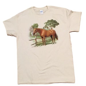 Horse & Cat Friends T Shirt, (Sweatshirt, Hoodie Available on Request) #248c