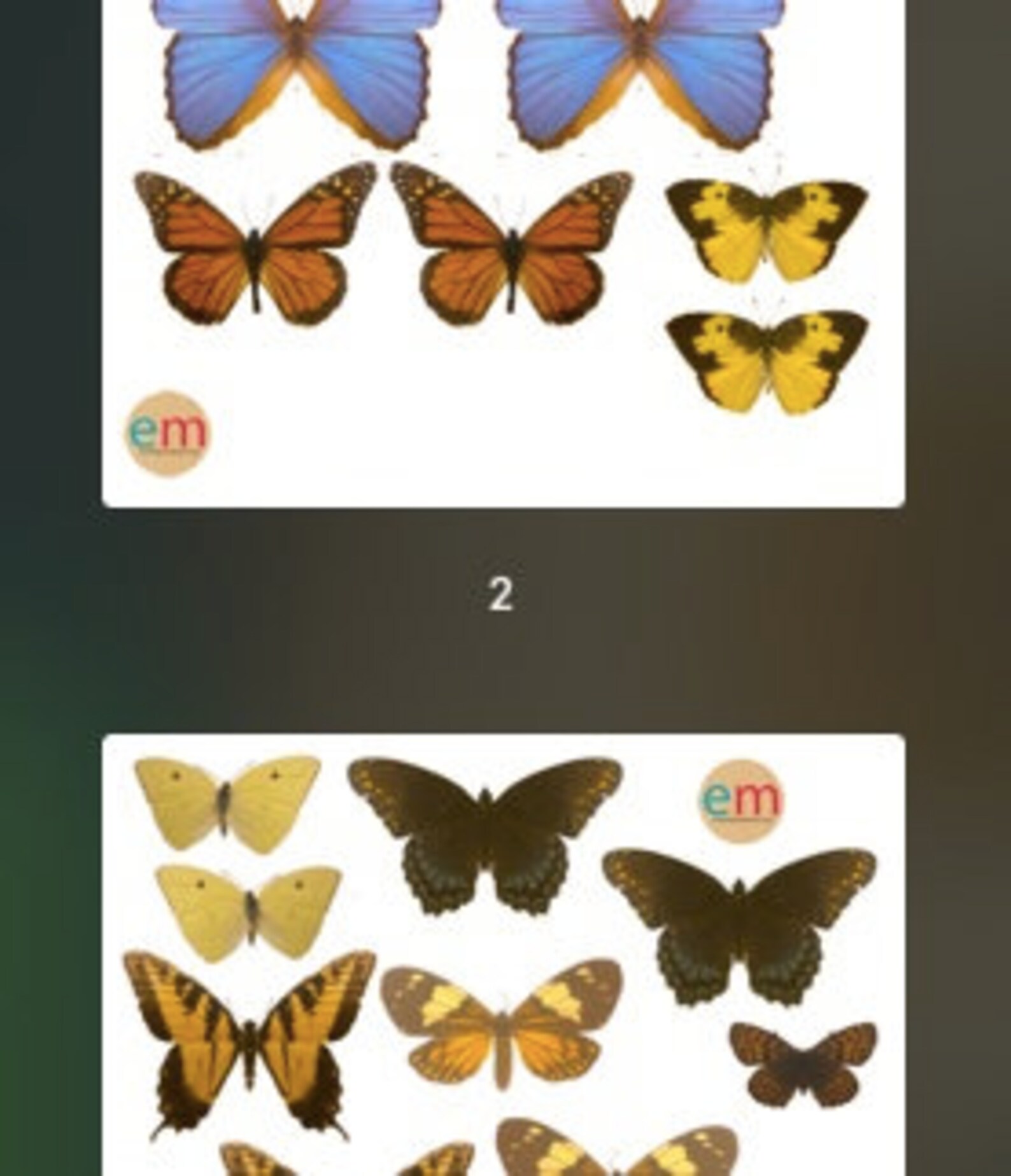 Essential Montessori Butterfly Mobile Visual Montessori Etsy