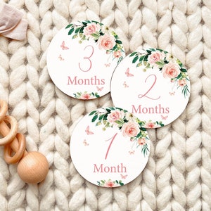 Cartes d'étapes mensuelles florales papillon pour bébé, marqueurs d'étape importante en bois pour bébé 1-12 mois, suivi de la croissance de bébé, cadeau de baby shower, MC03