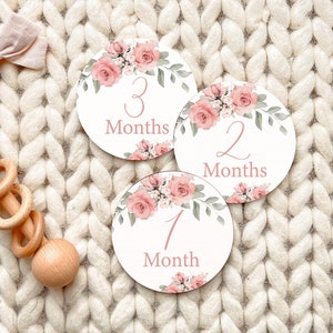 Cartes d'étape mensuelles roses pour bébé, marqueurs d'étape importante en bois floral rose pour bébé 1-12 mois, suivi de la croissance de bébé, cadeau de baby shower, MC04