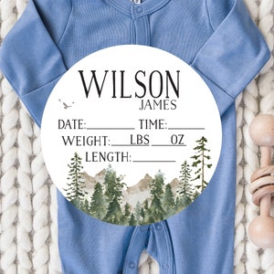 Mountain Birth Stat Sign, Baby Birth Stat Sign, Hospital Bassinet Sign, Woodland Birth Announcement Sign, Baby Stats, Name Sign, Fresh 48