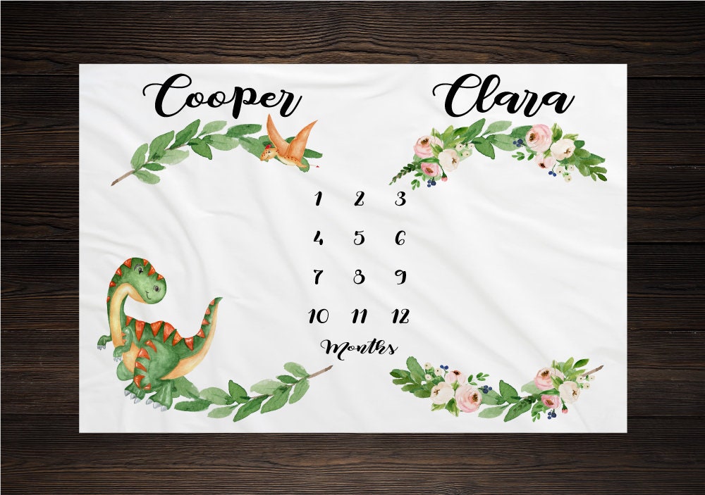 Twin Baby Milestone Blanket Month Blanket Baby Baby Growth Tracker Fleece Blanket Baby Shower Twin Newborn Gift Minky Baby Boy Baby Girl Etsy Canada