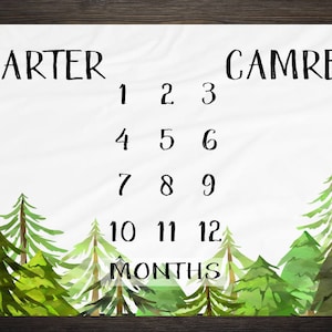 Twin Baby Milestone Blanket Month Blanket Baby Baby Growth Tracker Fleece Blanket Baby Shower Twin  Newborn Gift Minky Baby Boy Baby Girl