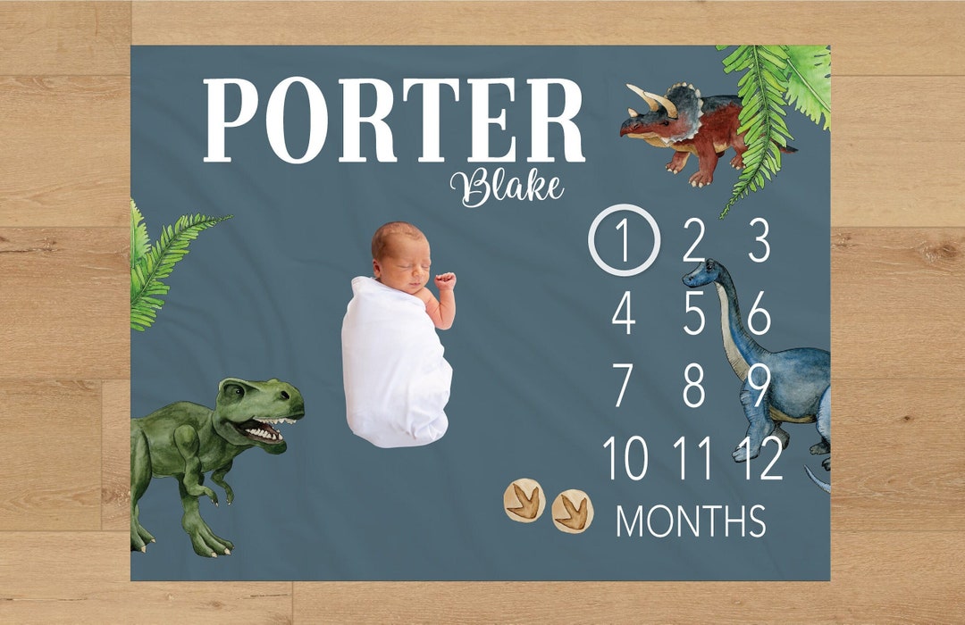 Dinosaur Baby Milestone Blanket Personalized Monthly Baby Blanket