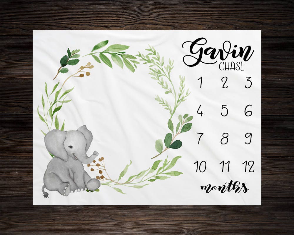 Baby month blanket elephant new arrivals