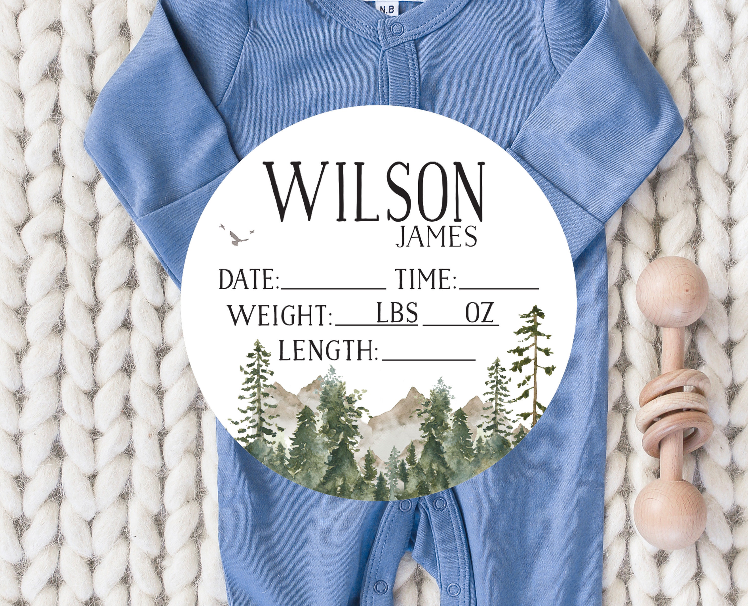 Mountain Birth Stat Sign, Baby Birth Stat Sign, Hospital Bassinet Sign, Woodland Birth Announcement Sign, Baby Stats, Name Sign, Fresh 48