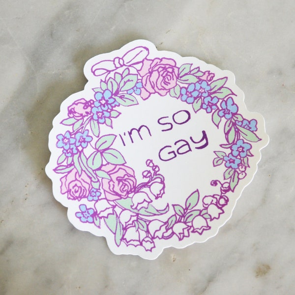 I'm So Gay: Gay Stickers, SALE sticker, lgbtq pride