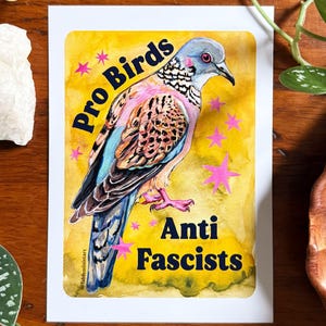 Peut inclure: Une carte de vœux avec une illustration à l'aquarelle d'un oiseau, avec le texte "Pro Birds Anti Fascists". L'oiseau a des plumes bleues, roses et marron sur un fond jaune avec des étoiles roses.